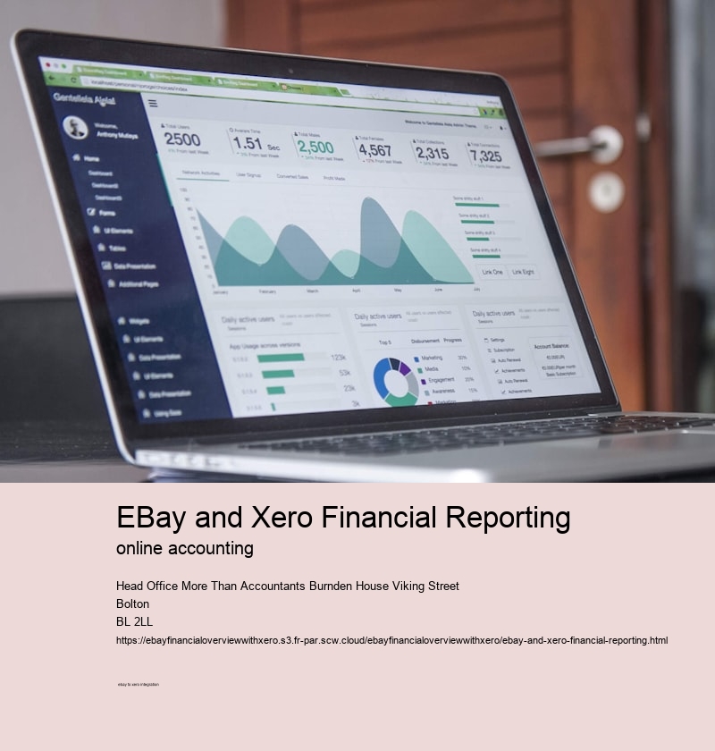 eBay and Xero Financial Reporting