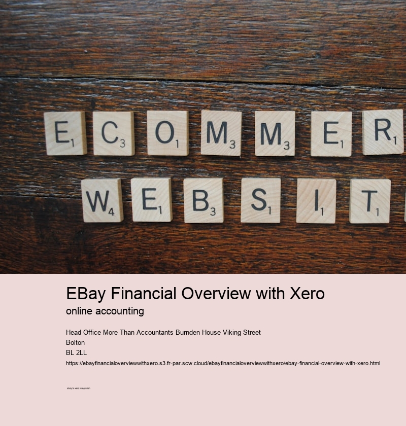 eBay Financial Overview with Xero