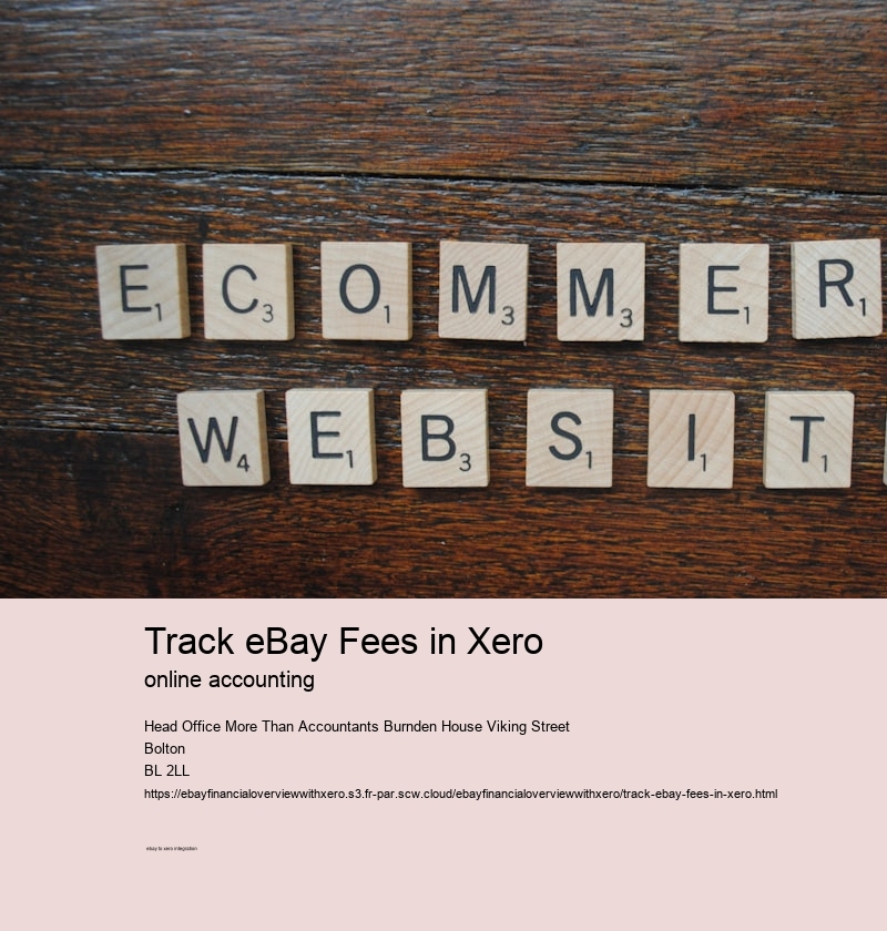 Track eBay Fees in Xero